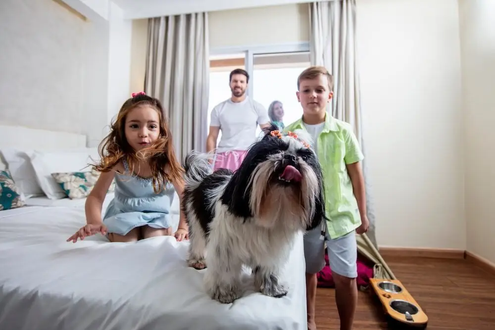 Resort pet friendly